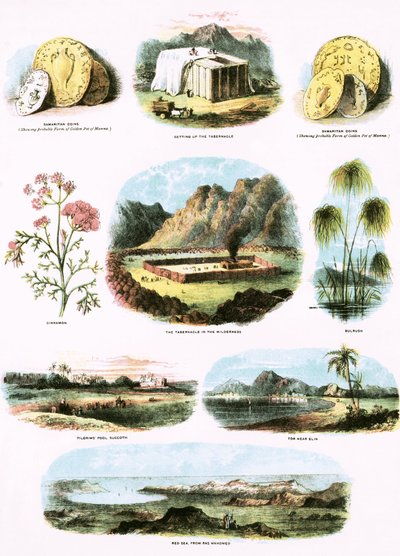Ilustrações bíblicas de English School