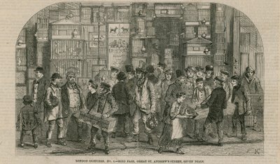 Feira dos pássaros, Great St Andrews Street, Seven Dials, Londres de English School
