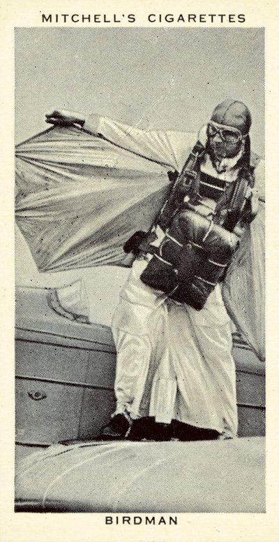 Birdman (litho) de English School