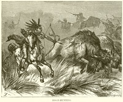 Caça ao Bisonte de English School