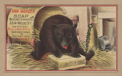 Urso Preto (cor litho) de English School