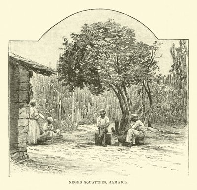 Squatters Negros, Jamaica de English School