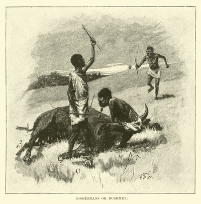Bosjesmans ou bosquímanos de English School
