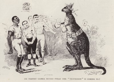 Canguru de boxe (litho) de English School