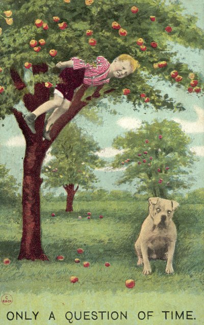 Rapaz na macieira, com cão por baixo à espera que ele caia (cor litho) de English School