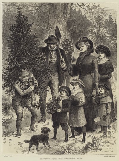 Trazendo para casa A Árvore de Natal (gravura) de English School