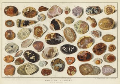 Seixos Britânicos (chromolitho) de English School