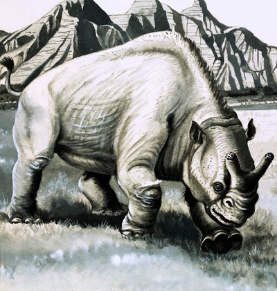 Brontotherium da idade de Oligocene de English School