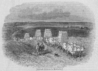 Caravana de bois na Moldávia de English School