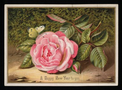 Borboleta com uma rosa rosa, cartão de Ano Novo (chromolitho) de English School