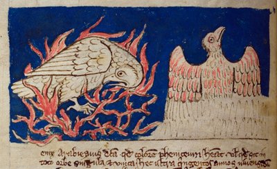 Lit-CCA - D - 10 fol. 17v Pheonix, de Bestiary de English School