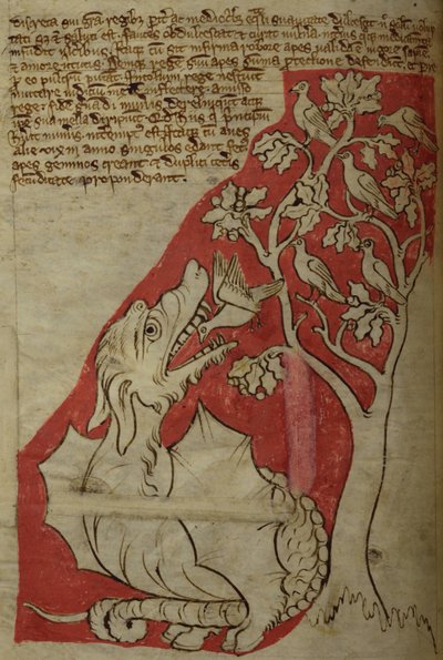 CCA-LitMs - D - 10 fol. 23v A Árvore de Perindens, do Bestiário de English School