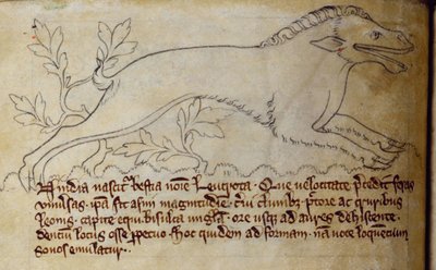 CCA-LitMs - D - 10 fol. 3v Leucrota, do Bestiário de English School