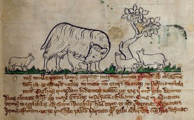 Lit-CCA - D - 10 fol. 8r Ovinos, de Bestiário de English School