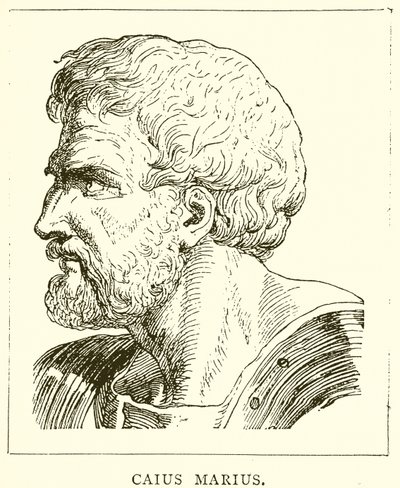 Caius Marius de English School