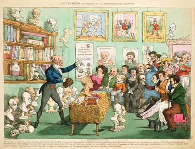 Cabeças e Cérebros de Bezerros; ou uma Palestra Frenológica, 1826 (gravura a cores) de English School