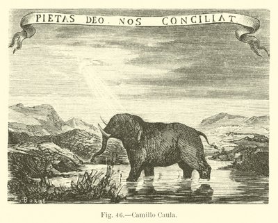 Camillo Caula de English School