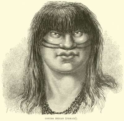 Canibo indiano, feminino de English School
