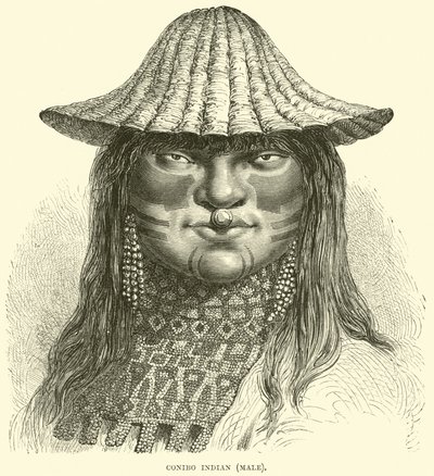 Canibo indiano, masculino de English School