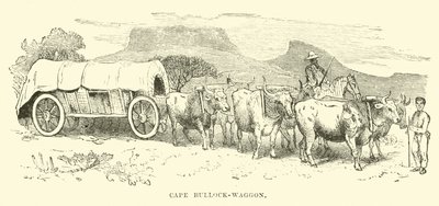 Vagão-boi-cabo de English School