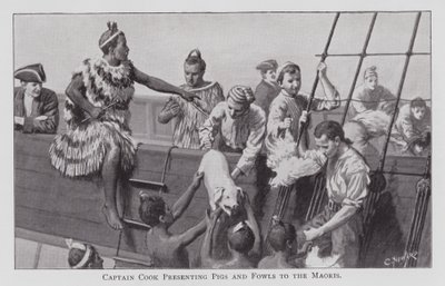 Capitão Cozinheiro Apresentador de Porcos e Galinhas aos Maoris (litho) de English School