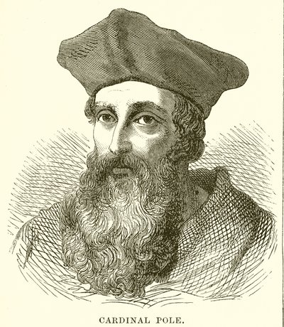 Pólo Cardinal de English School