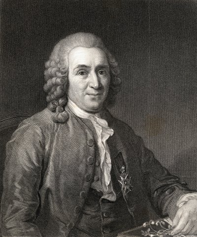 Carl von Linne ou Linnaeus (1707-78) da Gallery of Portraits, publicado em 1833 de English School