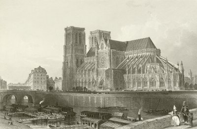 Catedral de Notre Dame - Paris de English School