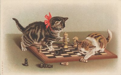 Gatos jogando xadrez de English School