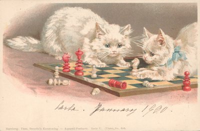 Gatos jogando xadrez de English School