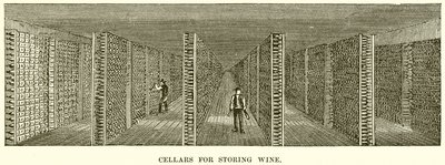 Caves para armazenar vinho de English School