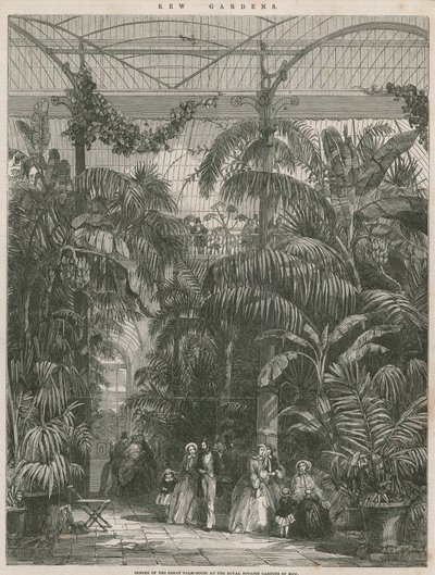 Centro da Grande Casa de Palma no Royal Botanic Gardens of Kew de English School