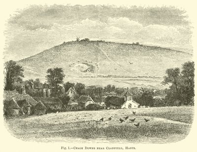 Chalk Downs perto de Clanfield, Hants de English School