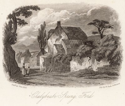 Chalybeate Primavera Ford de English School