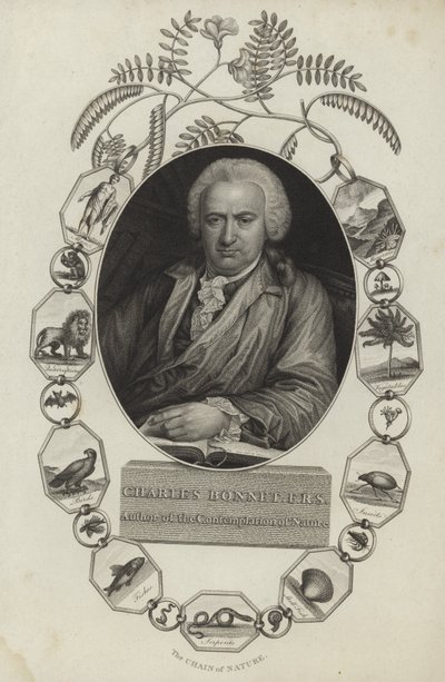 Charles Bonnet de English School