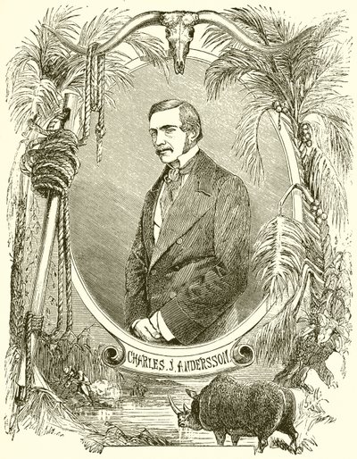 Charles J Anderson de English School