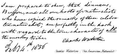 Charles Waterton (o naturalista americano) de English School
