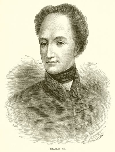 Charles XII de English School