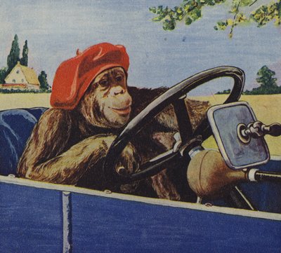 Chimpanzé a conduzir um automóvel (litografia a cores) de English School
