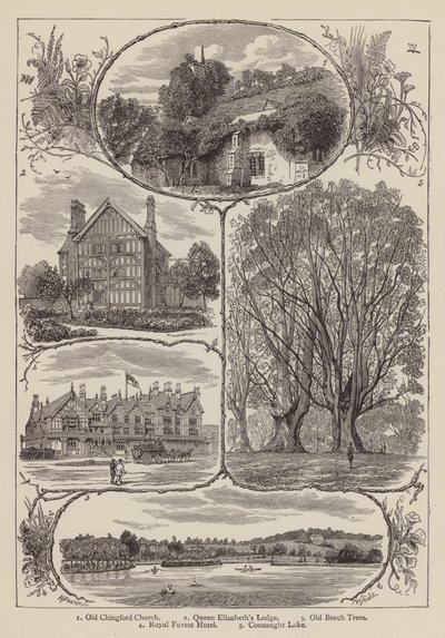 Chingford (gravura) de English School
