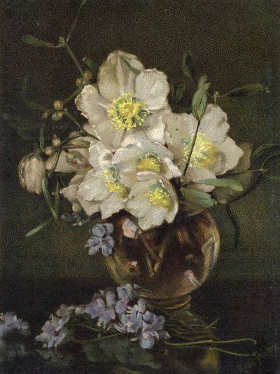 Rosas de Natal de English School