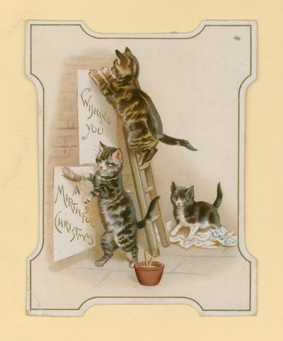 Cartões de Natal com gatos de English School