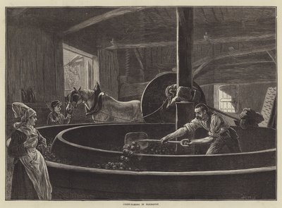 Cidra na Normandia (gravura) de English School