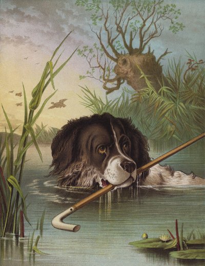 Clever Dash (cromolitho) de English School