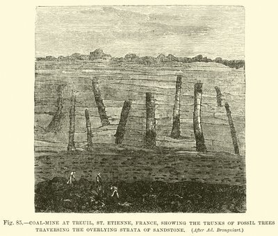 Mina de carvão em Treuil, St Etienne, França, mostrando os troncos de árvores fósseis que atravessam os estratos sobrejacentes de arenito de English School
