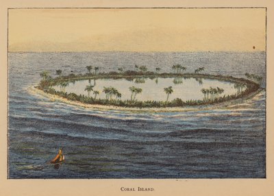 Ilha do Coral (litografia a cores) de English School
