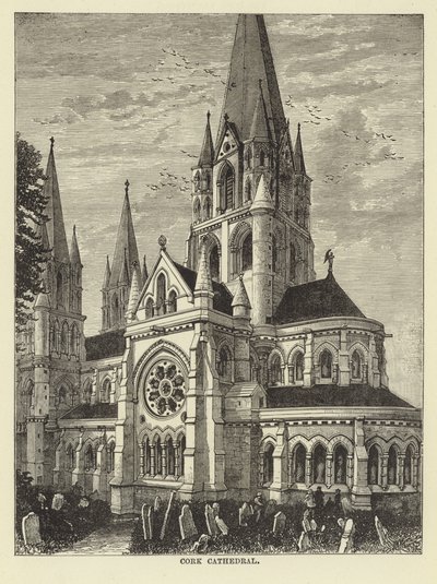 Catedral de cortiça de English School