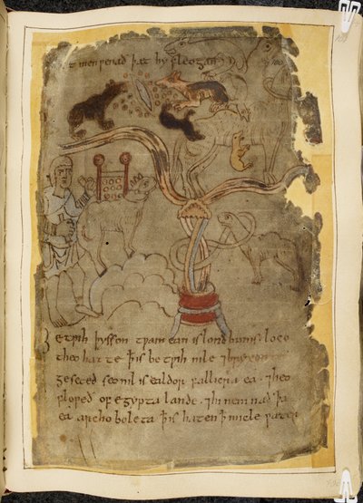 Cotton Vitellius A. XV, f.101r, Três formigas parecidas com cães atacando um camelo amarrado, homem de túnica, ilustração de Beowulf, do 