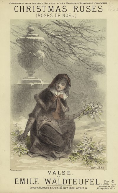 Capa de Rosas de Natal de English School