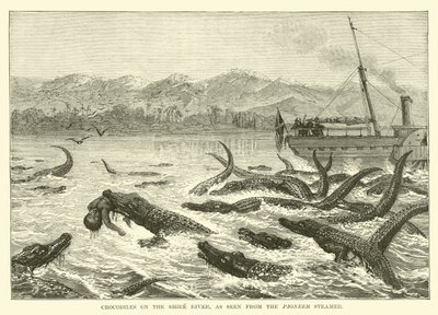 Crocodilos no rio Shire, visto do navio pioneiro de English School